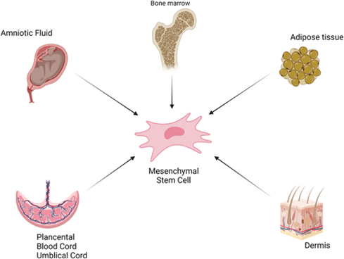 1690959682175397208D.png 4.png