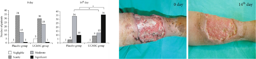 1691117011632395CC54.png 2.png