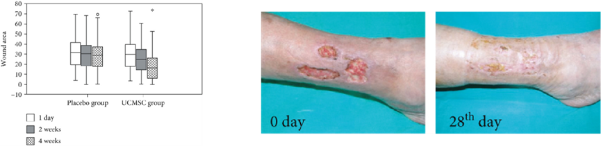 1691117019102415ED6A.png 3.png