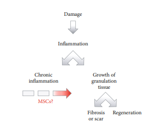 16911170488249625F61.png 6.png