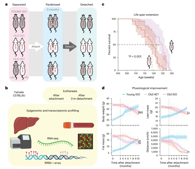 169146242911961983CC.png 2.png