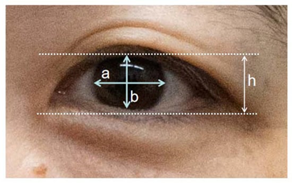 1691720593843767D391.png 7.png