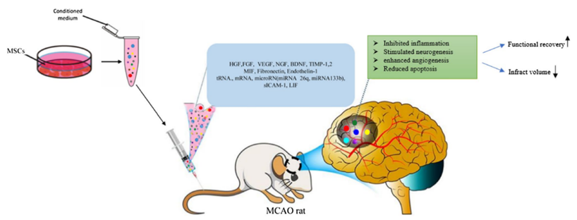 1693459394138902124D.png 2.png