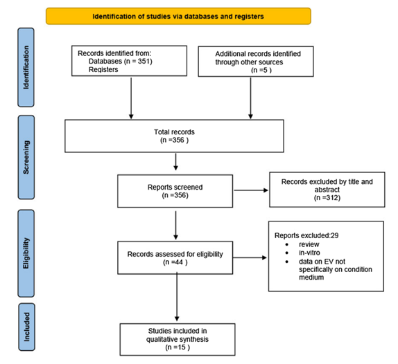 16934594088140324853.png 4.png