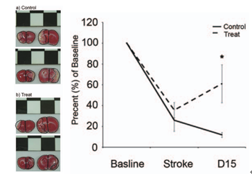 169345941628400965EE.png 5.png