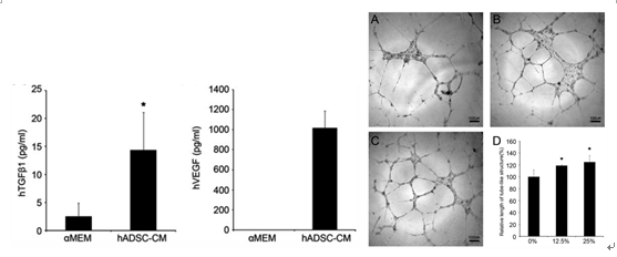 16934594237015478109.png 6.png