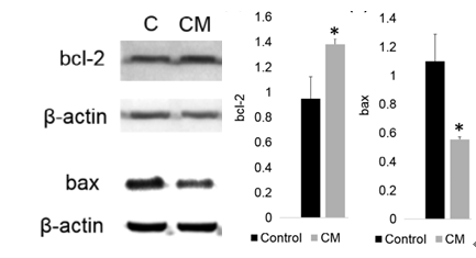 1693459429656535983B.png 7.png