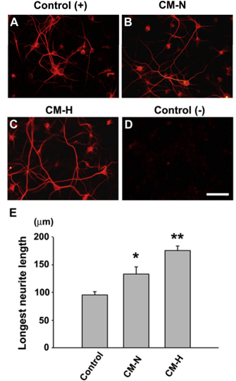 1693459443815452CF69.png 8.png