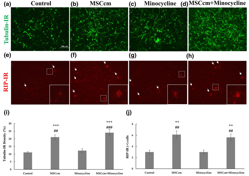 16934594787591235872.png 10.png