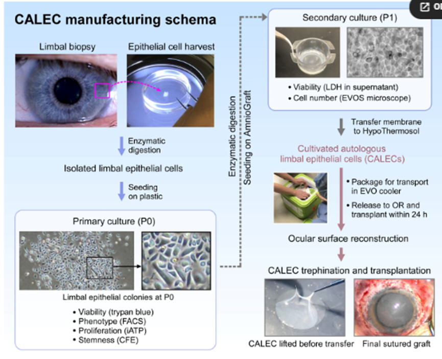 16935534035335518CFB.png 1.png