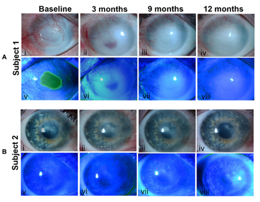 16935534411188662131.png 5.png