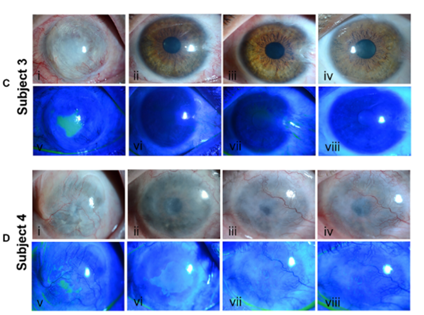 169355345011211542E3.png 6.png