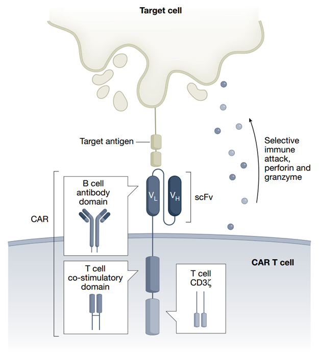 1694569429682096p5D8.png 3.png