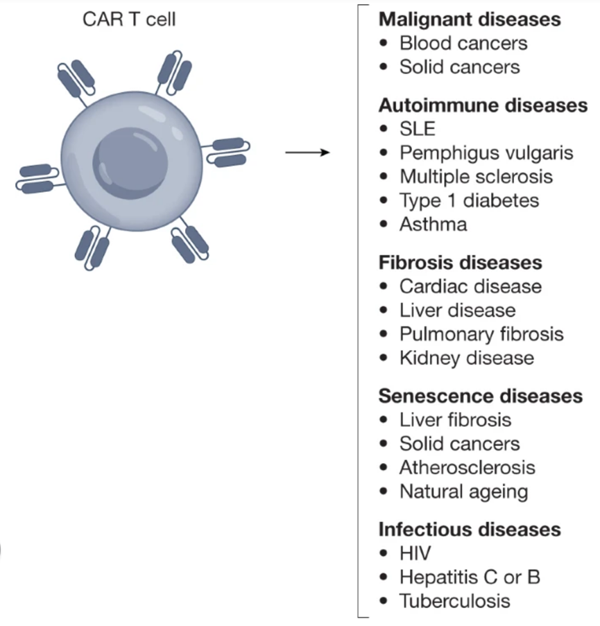 16945694496209485274.png 5.png