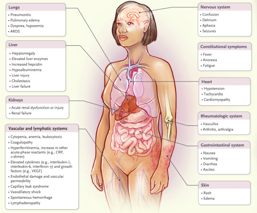 1694569459457126781D.png 6.png