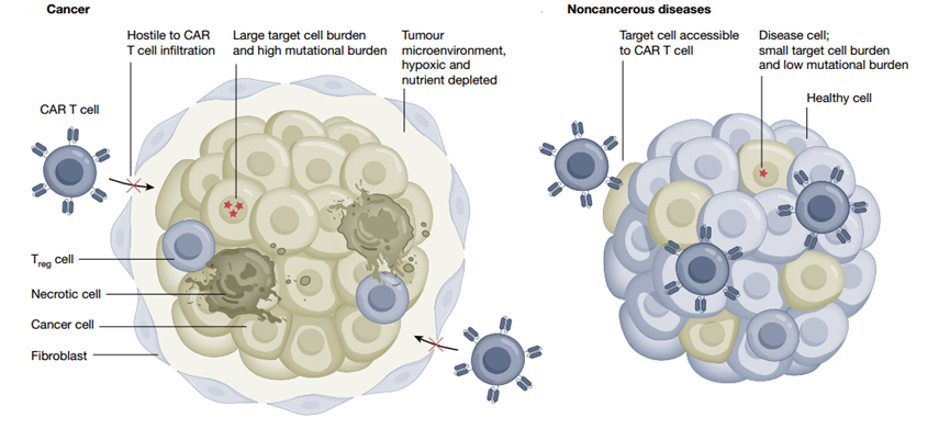 16945694683896529C40.png 7.png