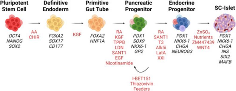 1694743222355743EADD.png 5.png