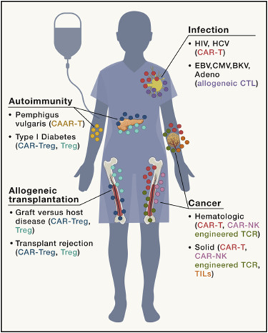 16953769901230963CC0.png 1.png