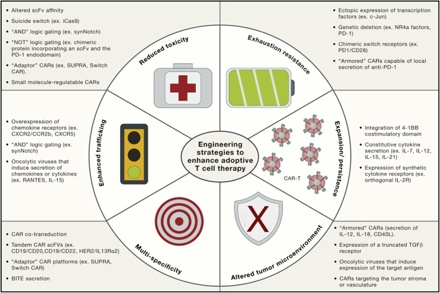 1695377034431006E804.png 4.png