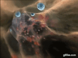 16953770661131096756.gif 6.gif