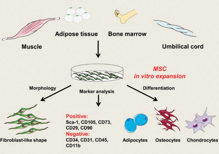 16967588951268875622.png 2.png