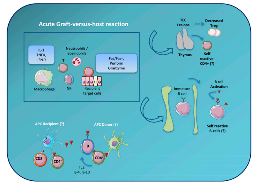 169675890671635080F9.png 3.png