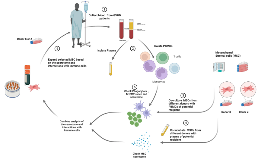 16967589501326452ADA.png 7.png