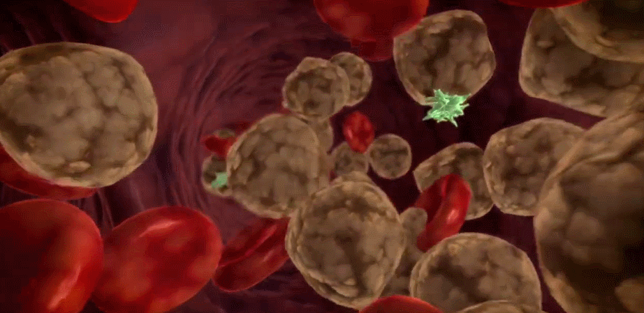 1698202172124602A8C9.gif 6.gif