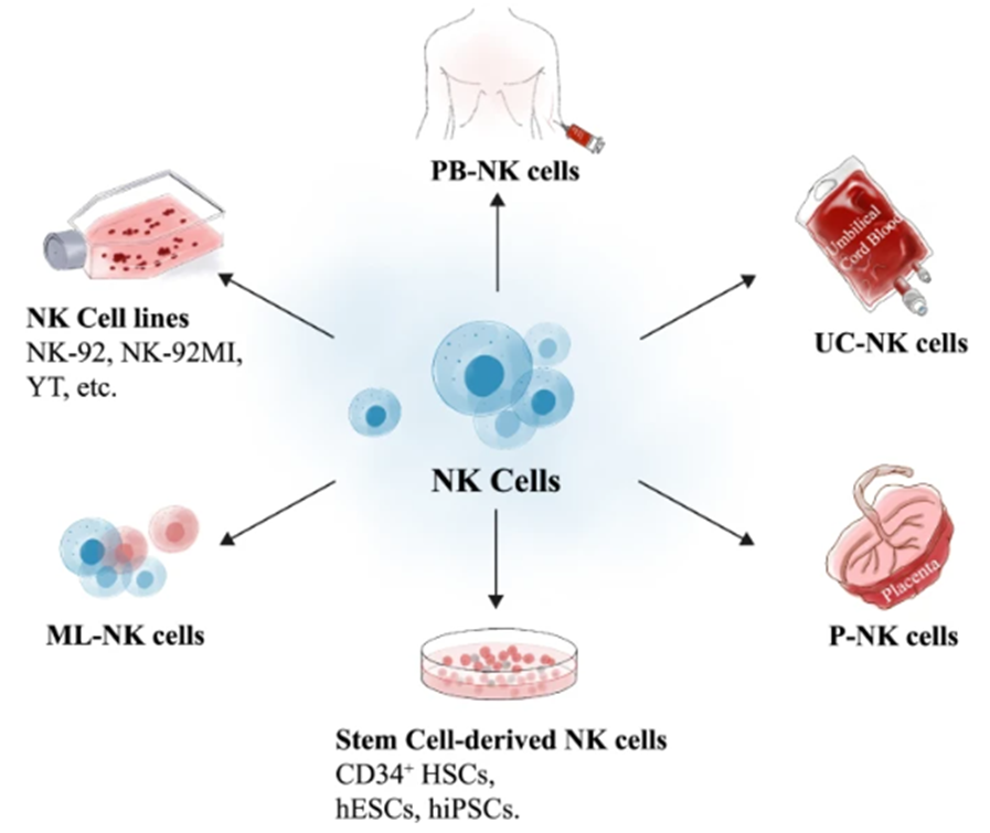 1698298843639882ACCF.png 5.png