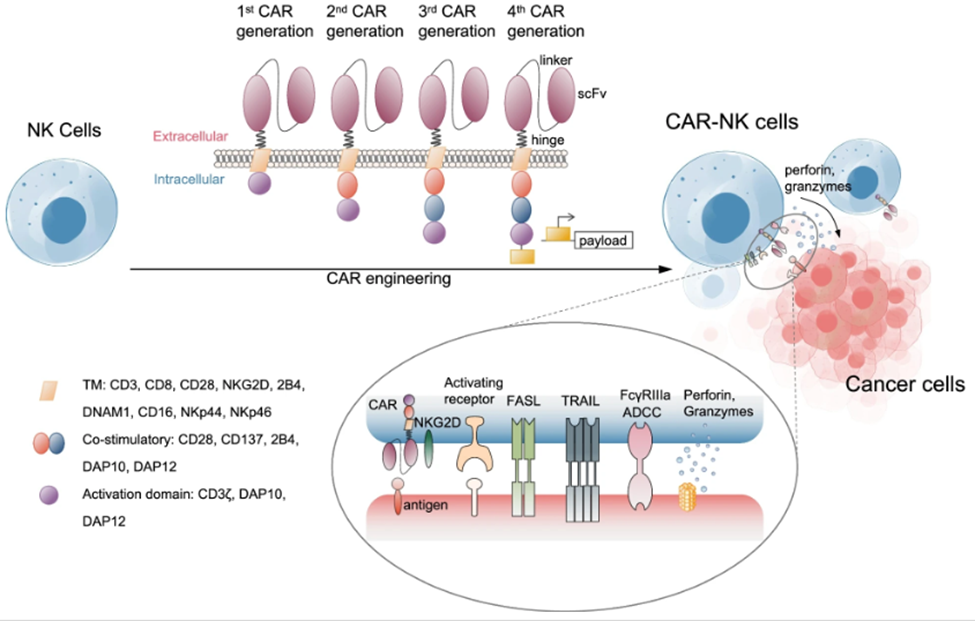 1698298932912531p4FD.png 7.png