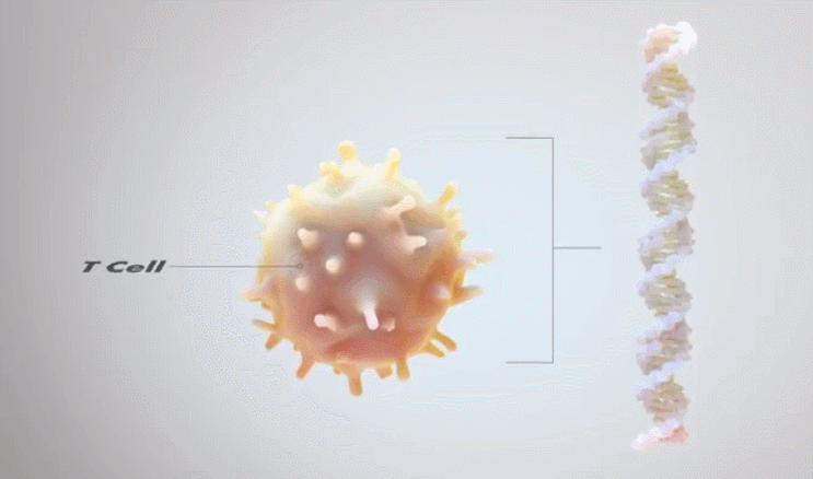 16982989433600463296.gif 640.gif