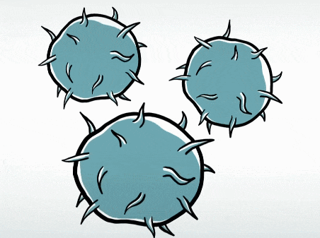 16986310511087282BF6.gif 2.gif