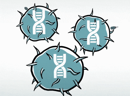 1698631066974798671B.gif 3.gif