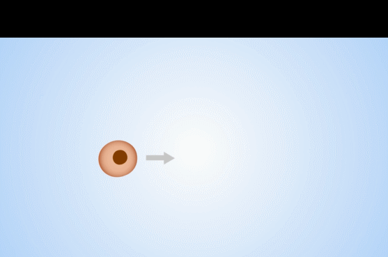5.gif