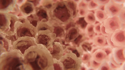 3.gif