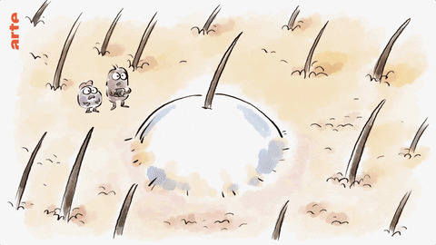 7.gif