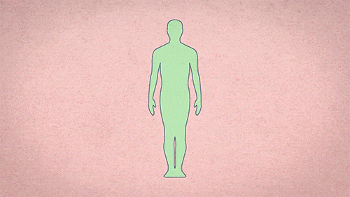 8.gif