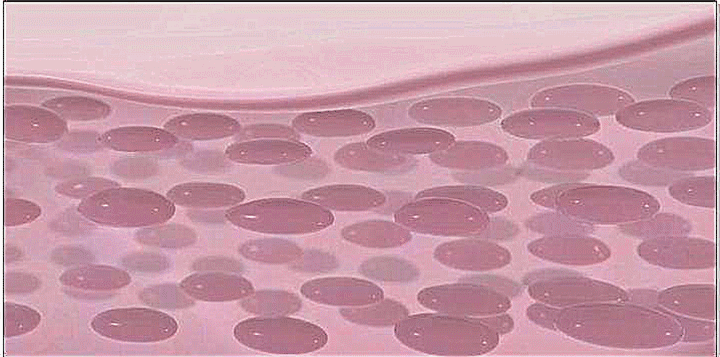 173347865965739625E2.gif f483b51f-f94e-4b8a-9384-204027320af8.gif