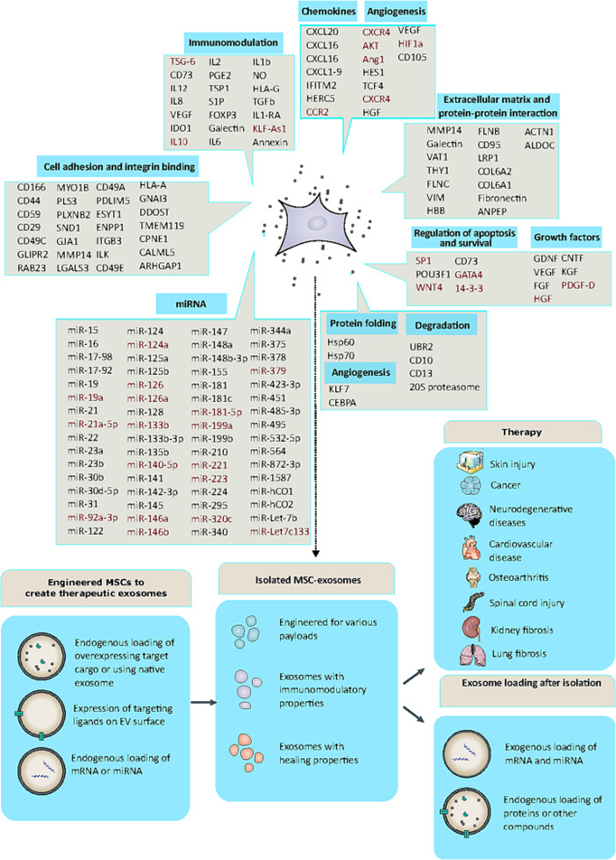 微信图片_20250224092350.png