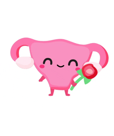 2.gif