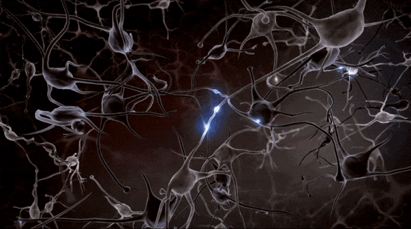 2.gif