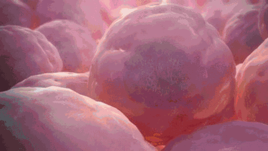 5.gif