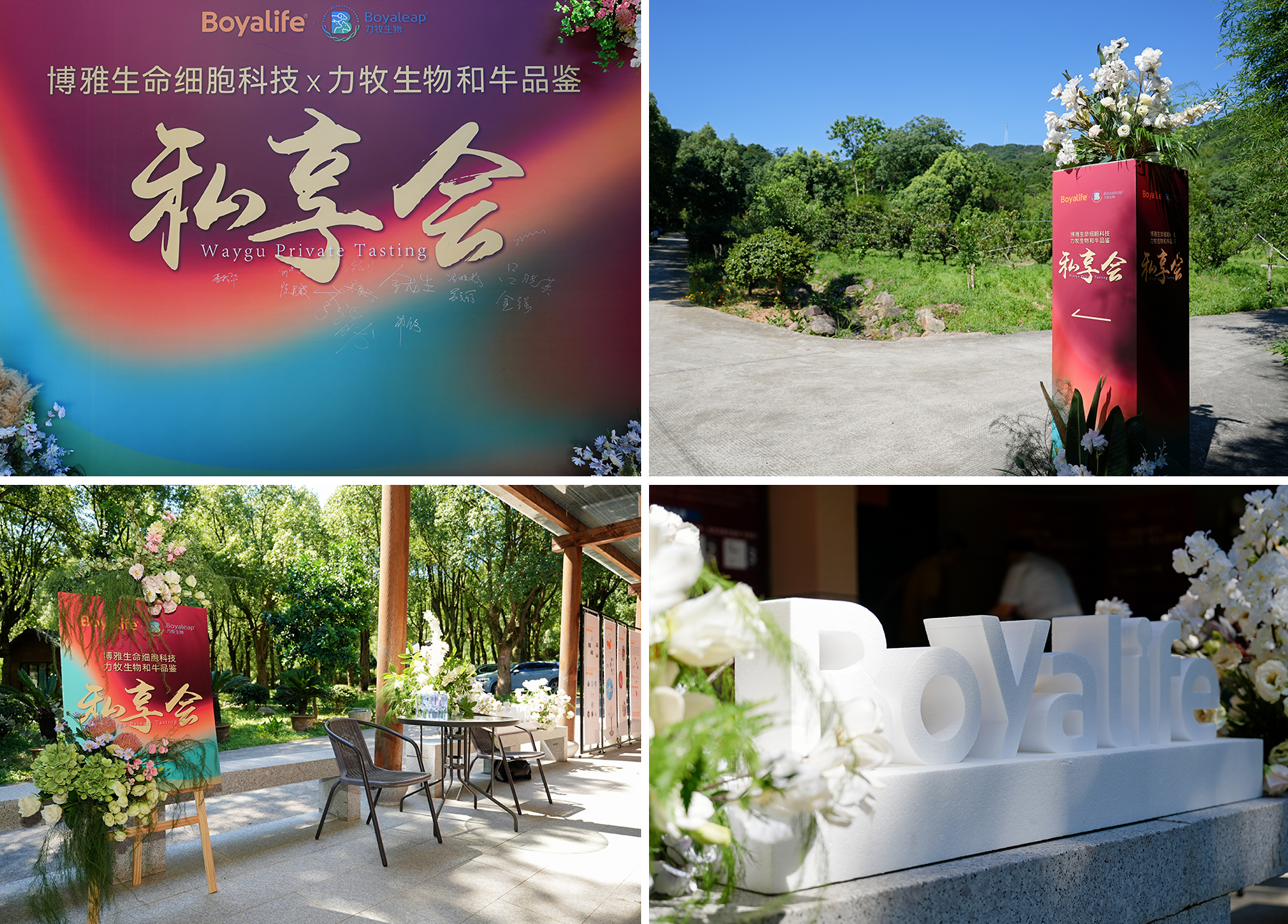 17526344917422984F3D.png 现场环境.png