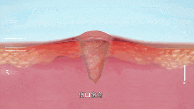 1752635713125123F3A5.gif 微信图片_20250716111158.gif