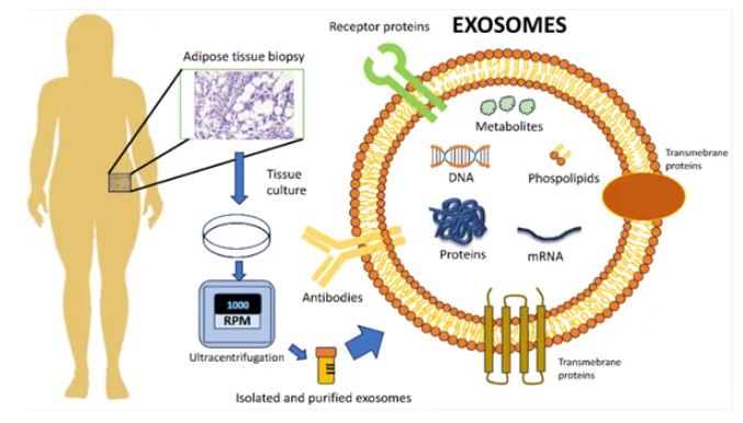 1758851719221312217E.png 3.png