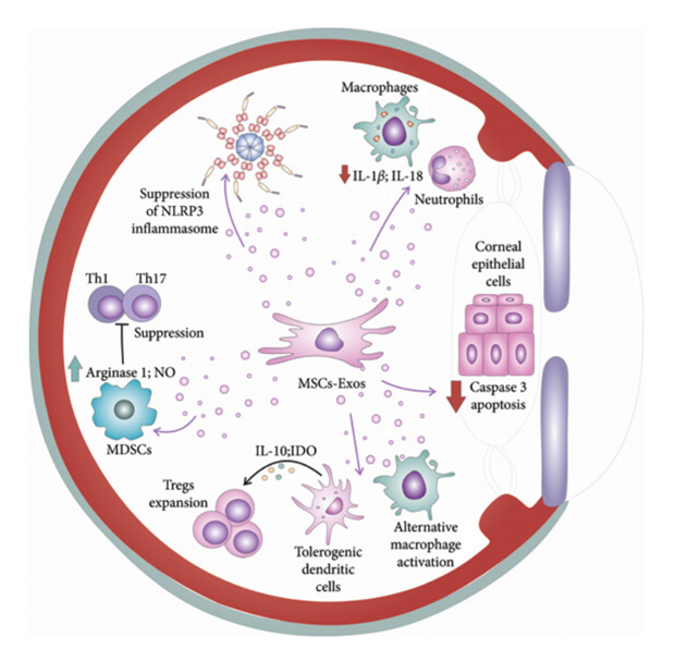 17588517301078894BDB.png 4.png