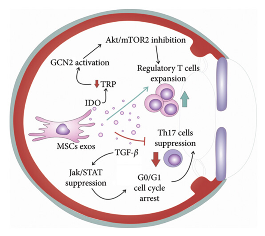 17588517385488706C64.png 5.png