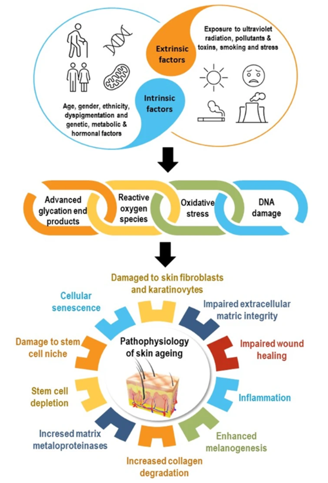 17606851231097131BFB.png 微信图片_2025-10-17_133350_472.png