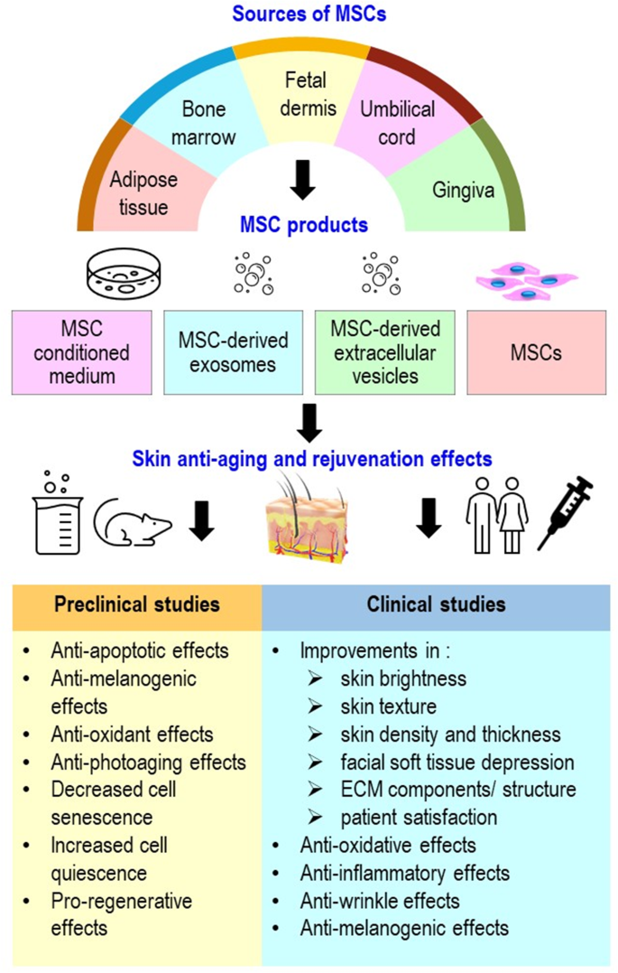 17606851419621476170.png 微信图片_2025-10-17_133444_641.png