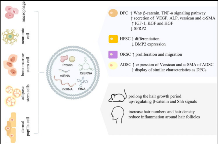 1760685296739888C012.png 微信图片_2025-10-17_134517_783.png